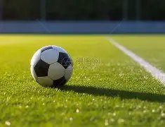 穆雷助力纳,豆生产,恰逢良机,星空体育平台,星空体育官方网站,星空体育登录入口,星空体育app下载