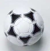 费本赛季进,球数达,创个人近三,星空体育平台,星空体育官方网站,星空体育登录入口,星空体育app下载