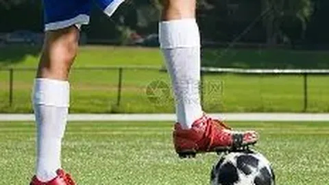 星空体育 资讯 131213 lg4