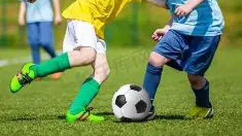 星空体育 资讯 131515 ozq