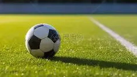 第十五届全运会圆满收官 江苏队收获38金33银43铜佳绩