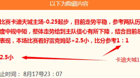 洛杉矶火花决战前瞻星空体育平台：能否逆袭夺冠